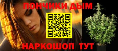 дживик Гай