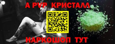 дживик Гай