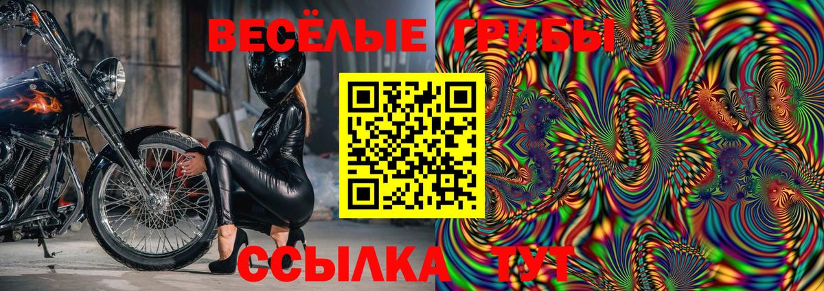 Губкинский  Псилоцибиновые грибы Cubensis  Вход с VPN  Псилоцибиновые грибы Magic Shrooms 